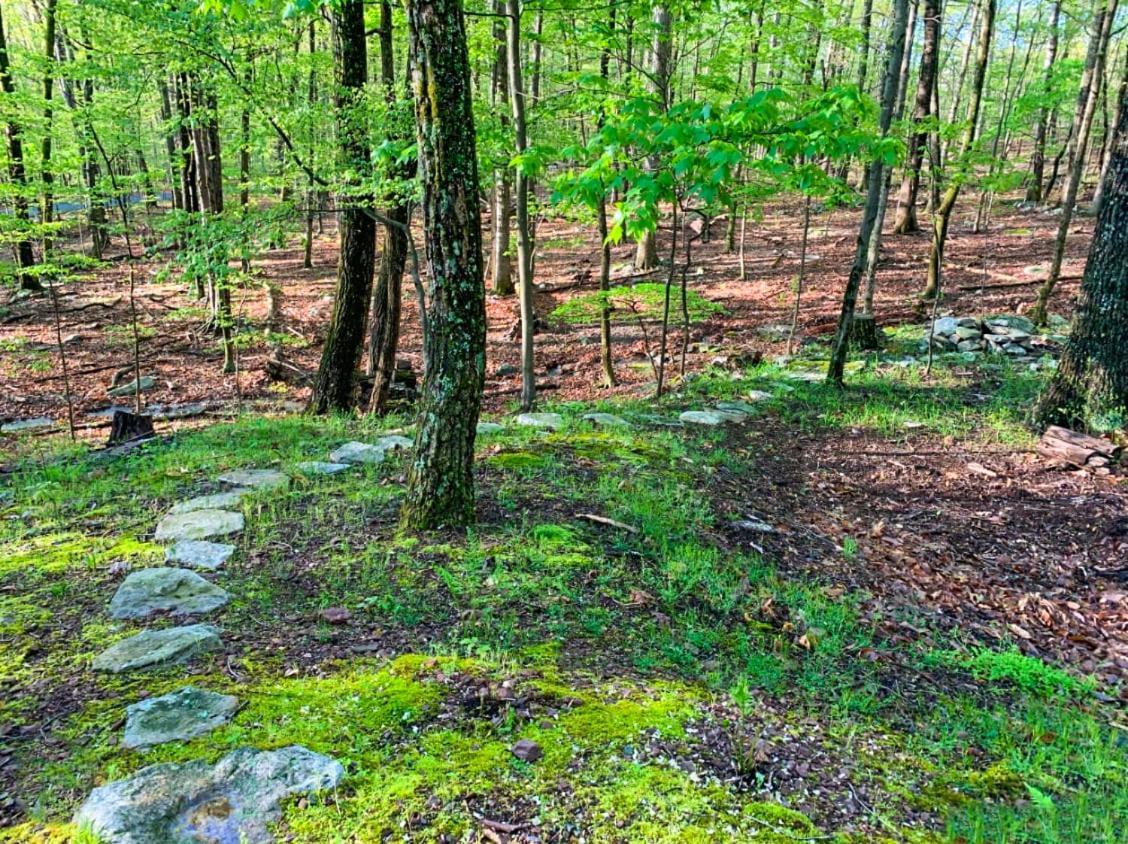 Modern Retreat W Hot Tub, Deck & Resort Amenities Berkeley Springs Kültér fotó